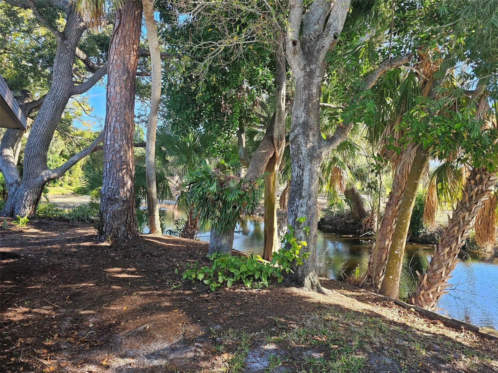 4408 LA JOLLA DR #19A, BRADENTON, FL — photo 54