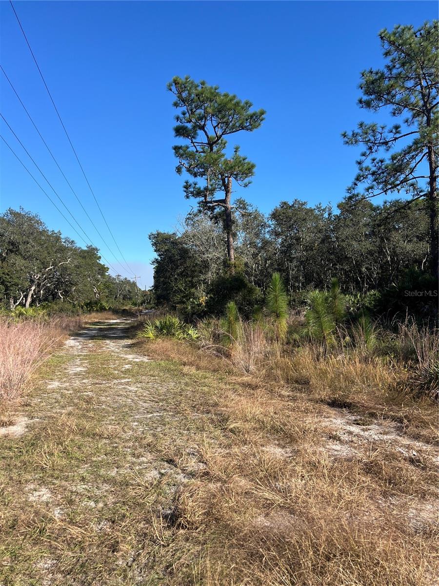 SUNRISE BLVD, MOUNT DORA, FL — photo 3