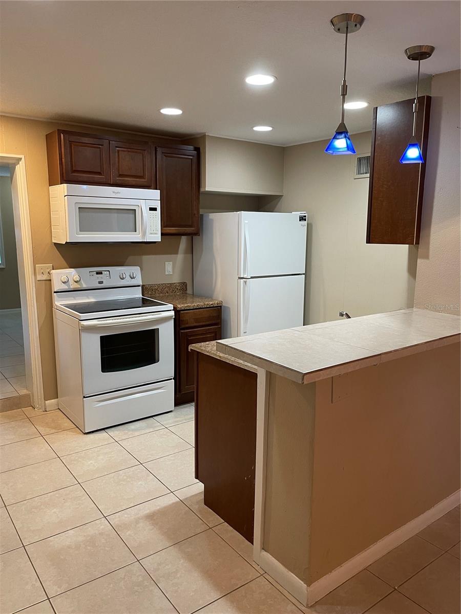 206 OSCEOLA AVE, EUSTIS, FL — photo 11