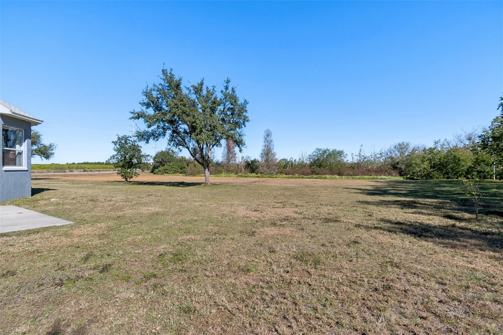 2307 CASS RD, LAKE ALFRED, FL — photo 48
