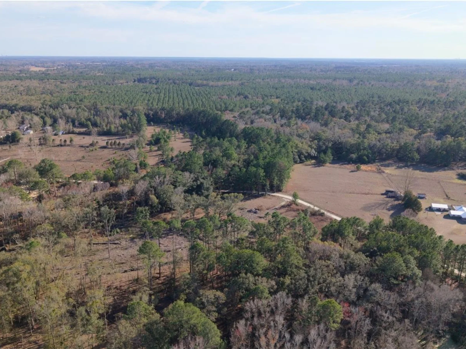 14403 NW 258TH PL, ALACHUA, FL — photo 4