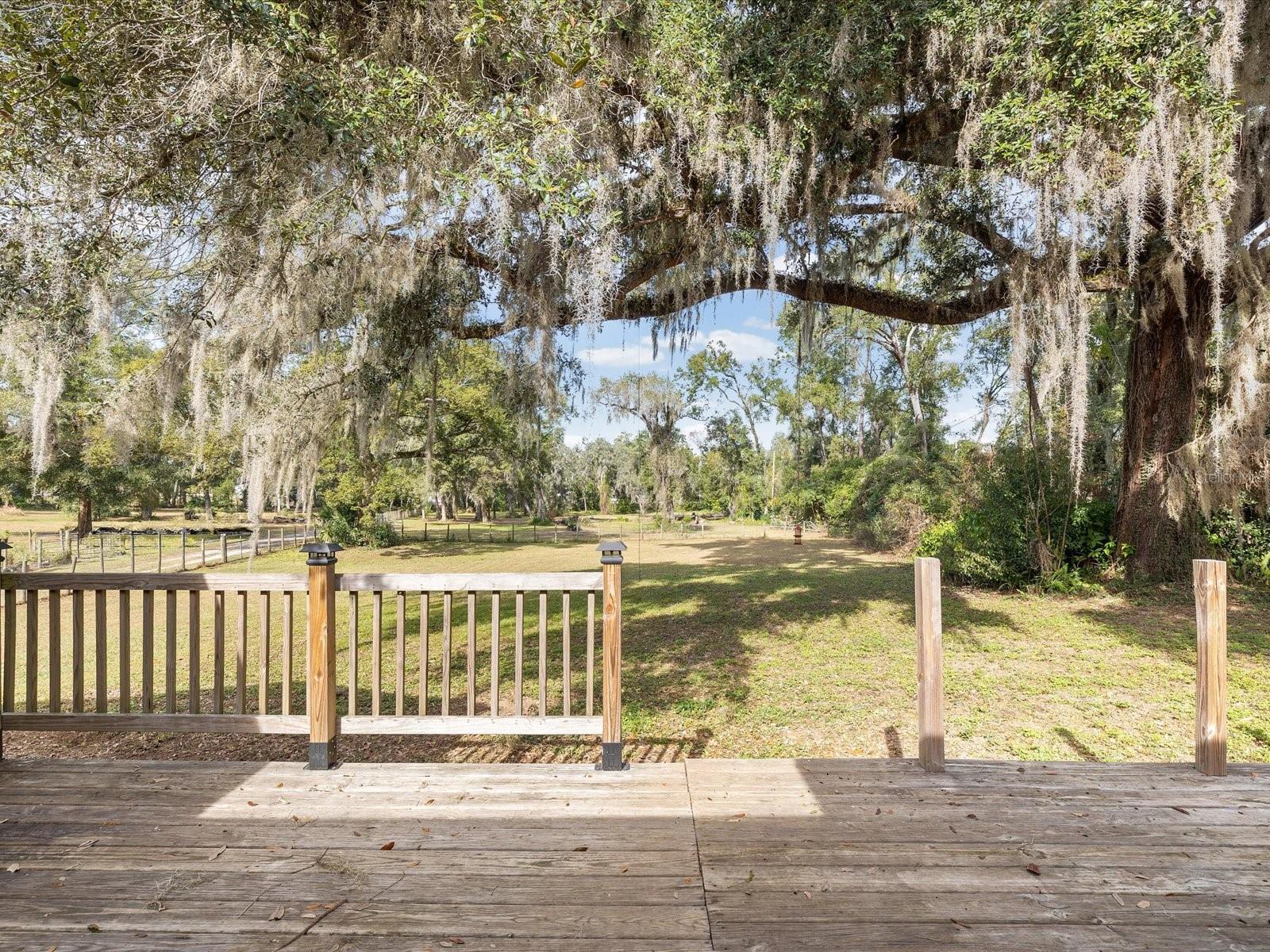 36228 CLINTON AVE, DADE CITY, FL — photo 32