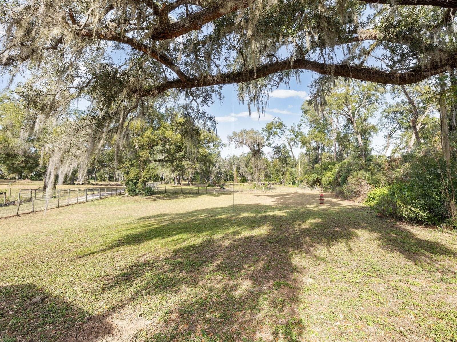 36228 CLINTON AVE, DADE CITY, FL — photo 33