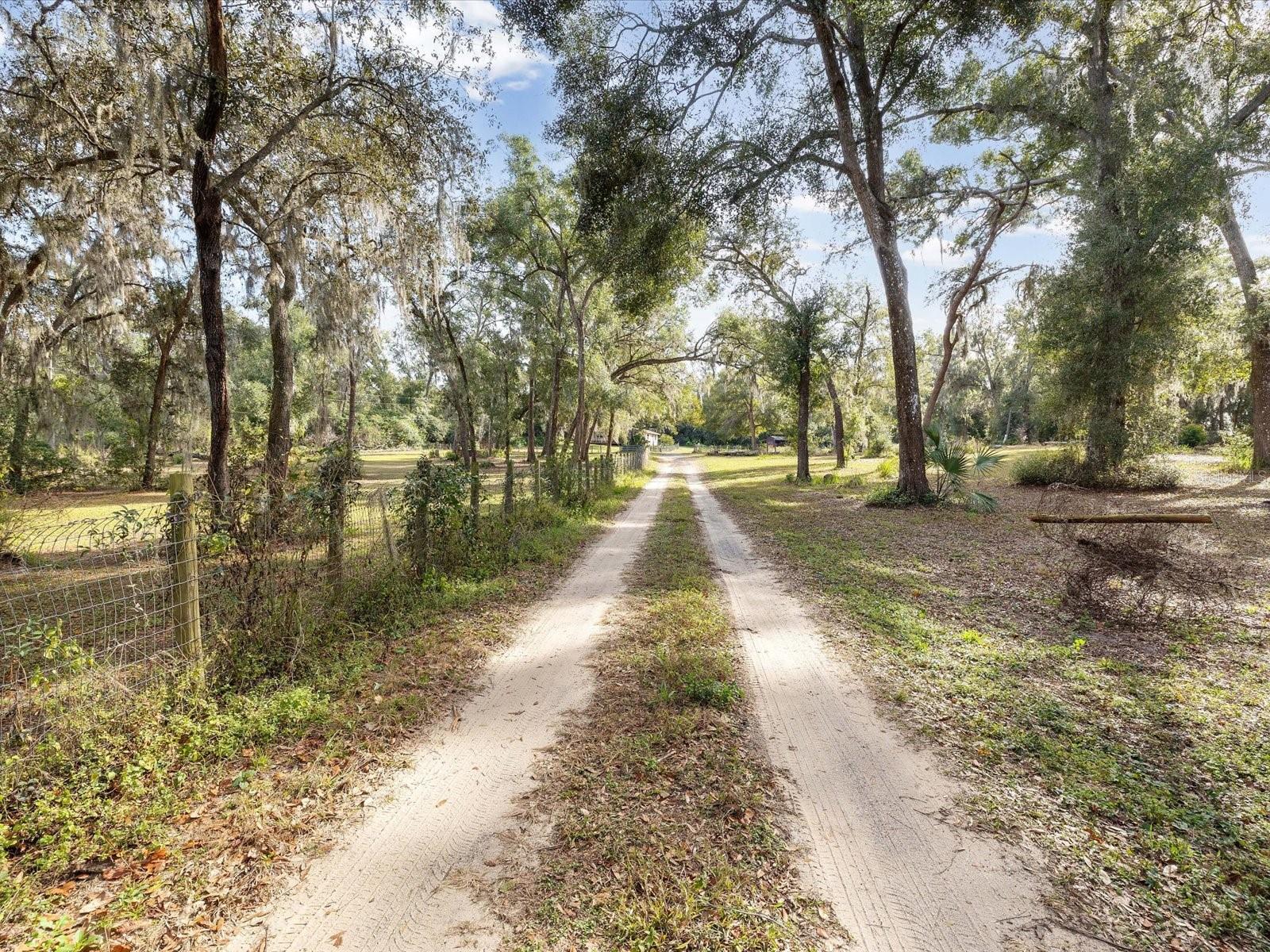 36228 CLINTON AVE, DADE CITY, FL — photo 39