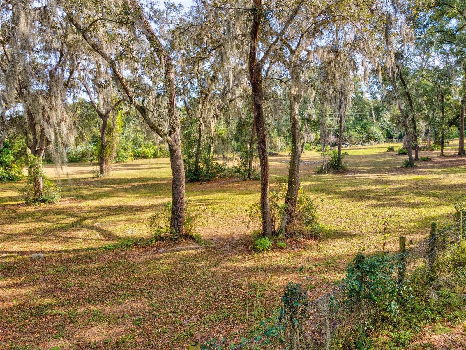 36228 CLINTON AVE, DADE CITY, FL — photo 45