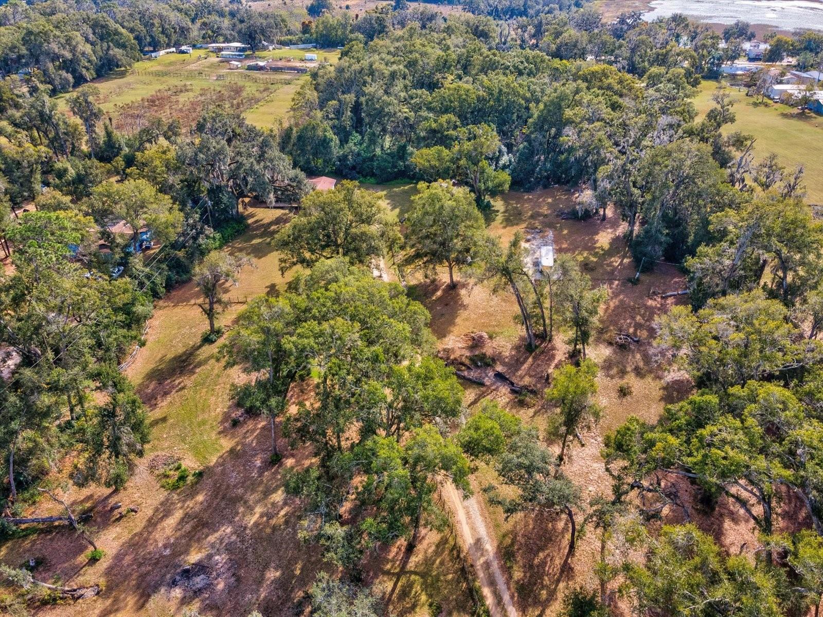 36228 CLINTON AVE, DADE CITY, FL — photo 56