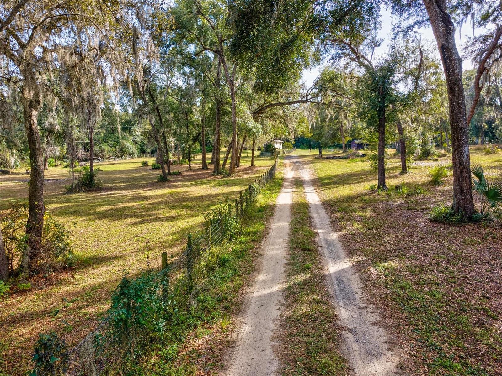 36228 CLINTON AVE, DADE CITY, FL — photo 59