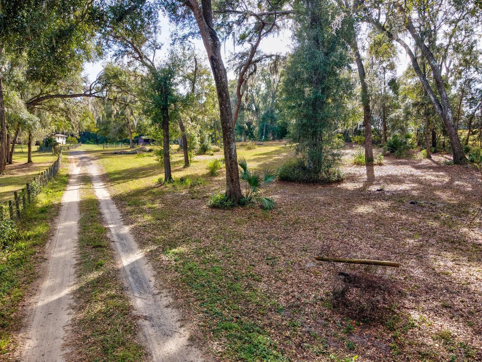36228 CLINTON AVE, DADE CITY, FL — photo 60