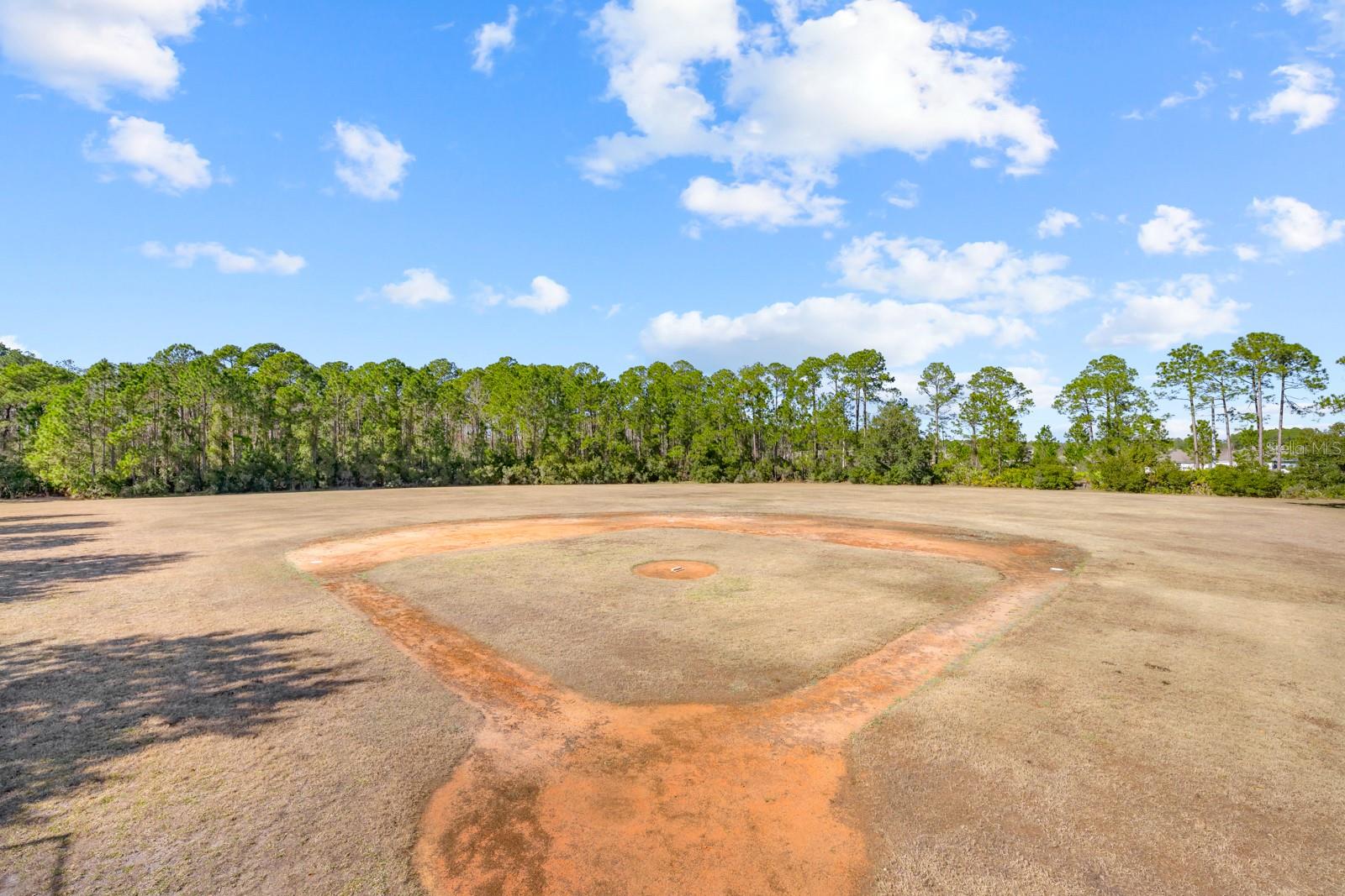 466 WOODED CROSSING CIR, ST AUGUSTINE, FL — photo 87