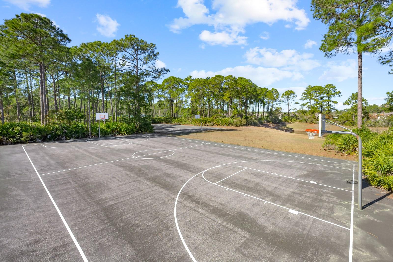 466 WOODED CROSSING CIR, ST AUGUSTINE, FL — photo 95