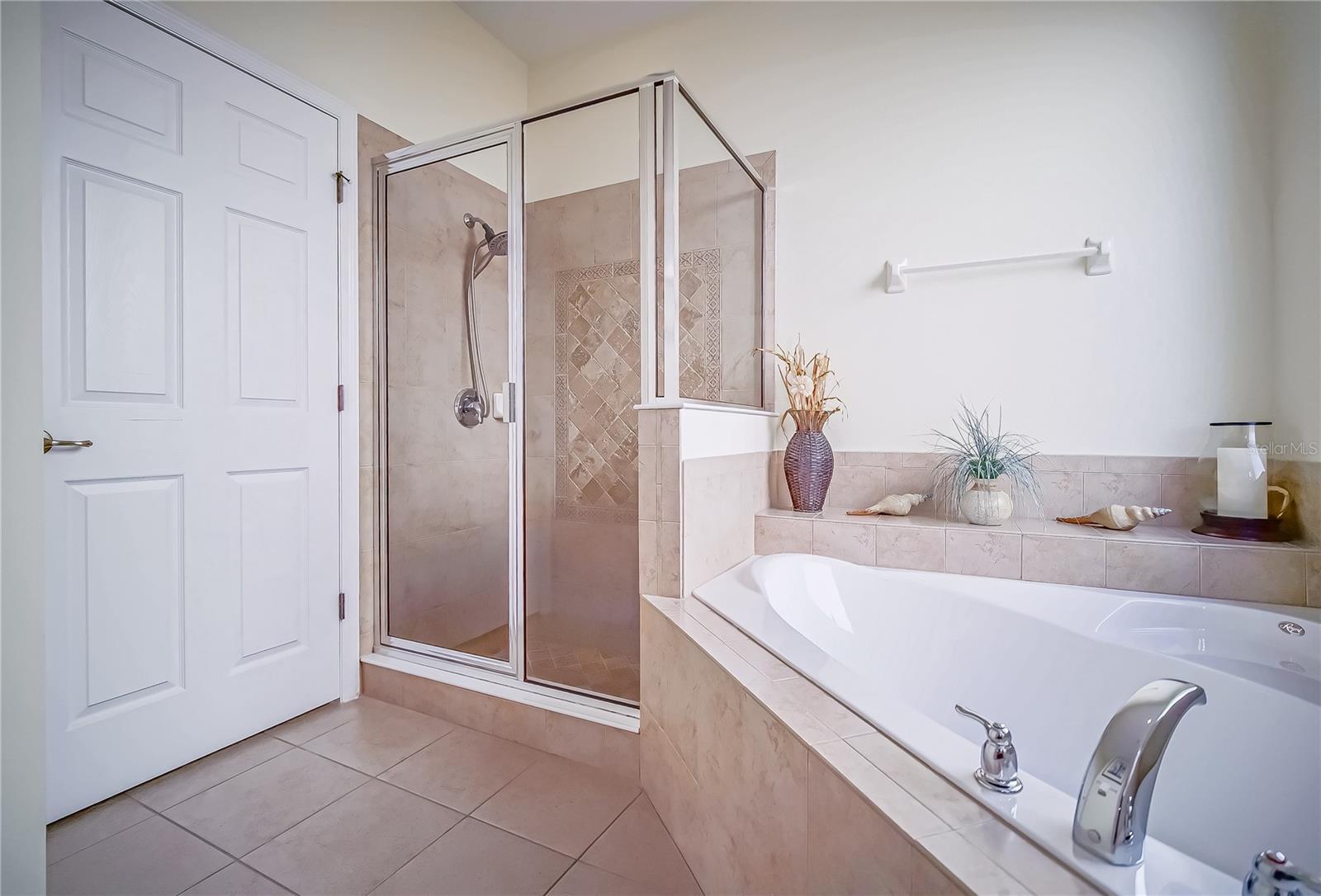 1009 ORANGE COSMOS BLVD, DAVENPORT, FL — photo 15
