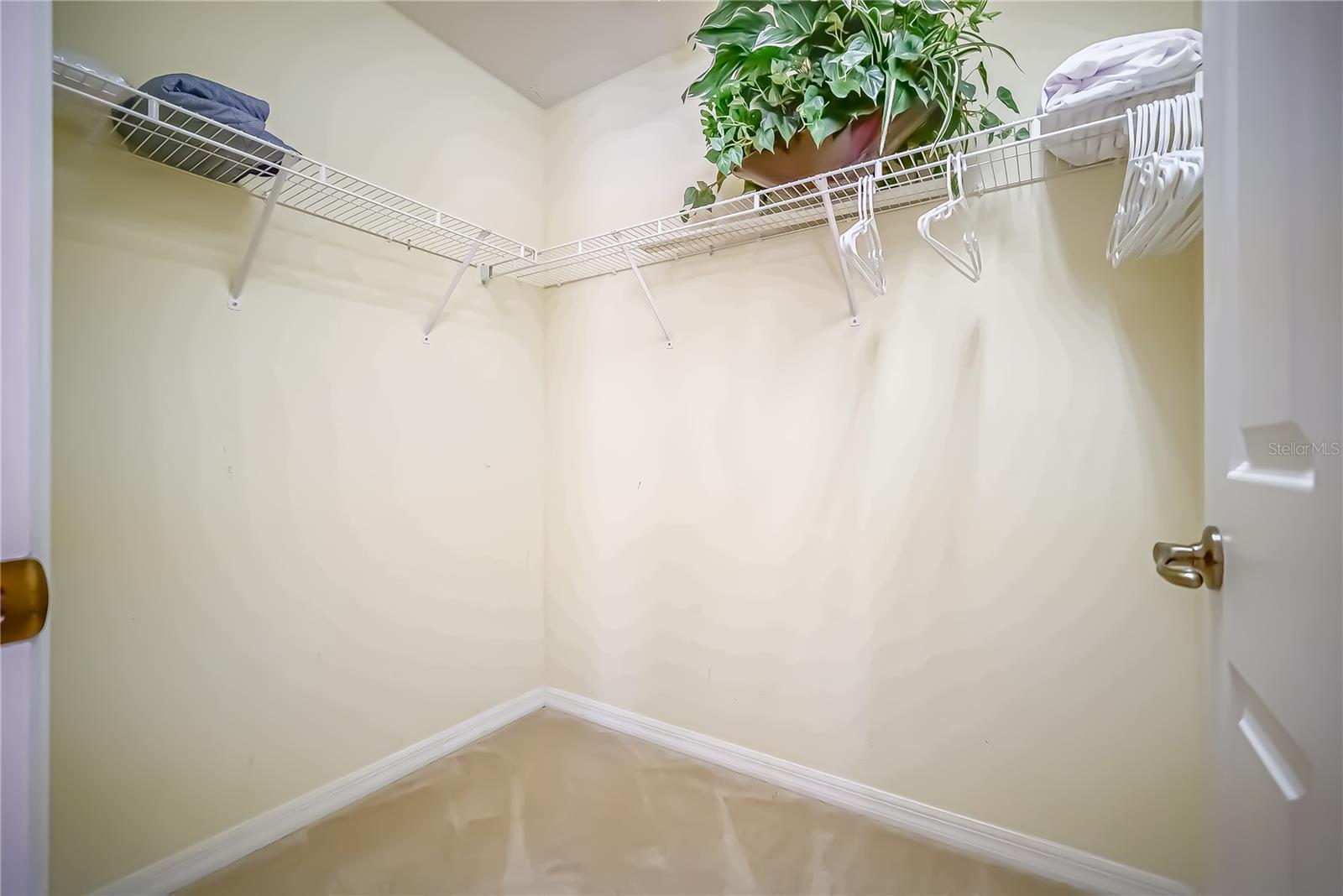 1009 ORANGE COSMOS BLVD, DAVENPORT, FL — photo 29