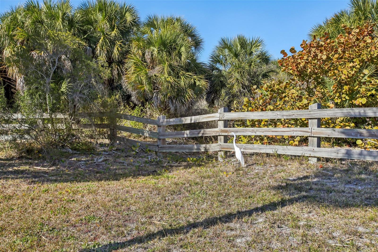 455 ALT 19 S #42 & 46, PALM HARBOR, FL — photo 77