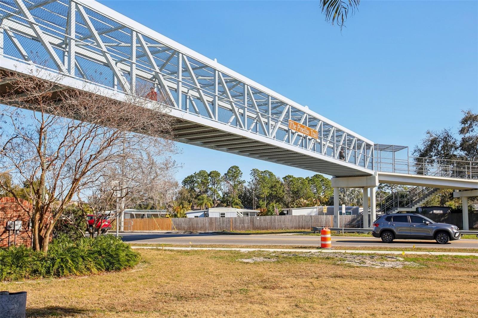 455 ALT 19 S #42 & 46, PALM HARBOR, FL — photo 80
