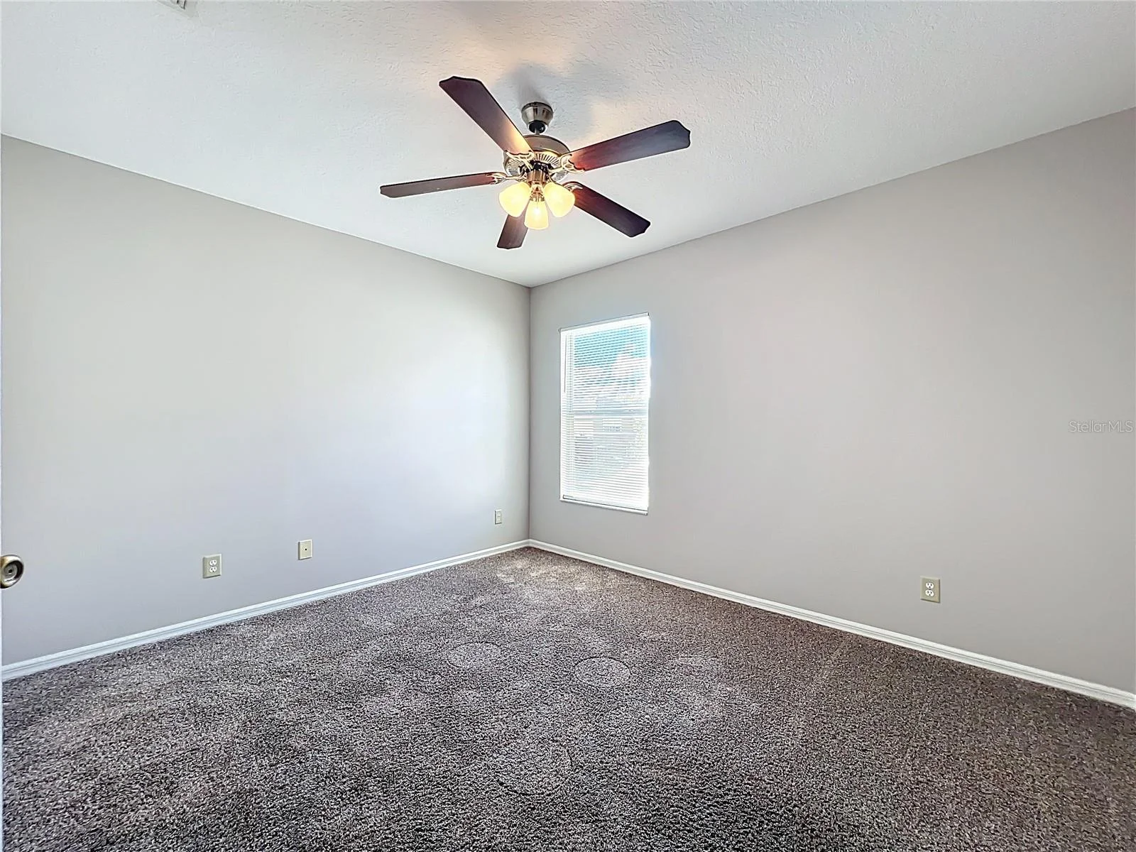 33411 TERRAGONA DR, SORRENTO, FL — photo 75
