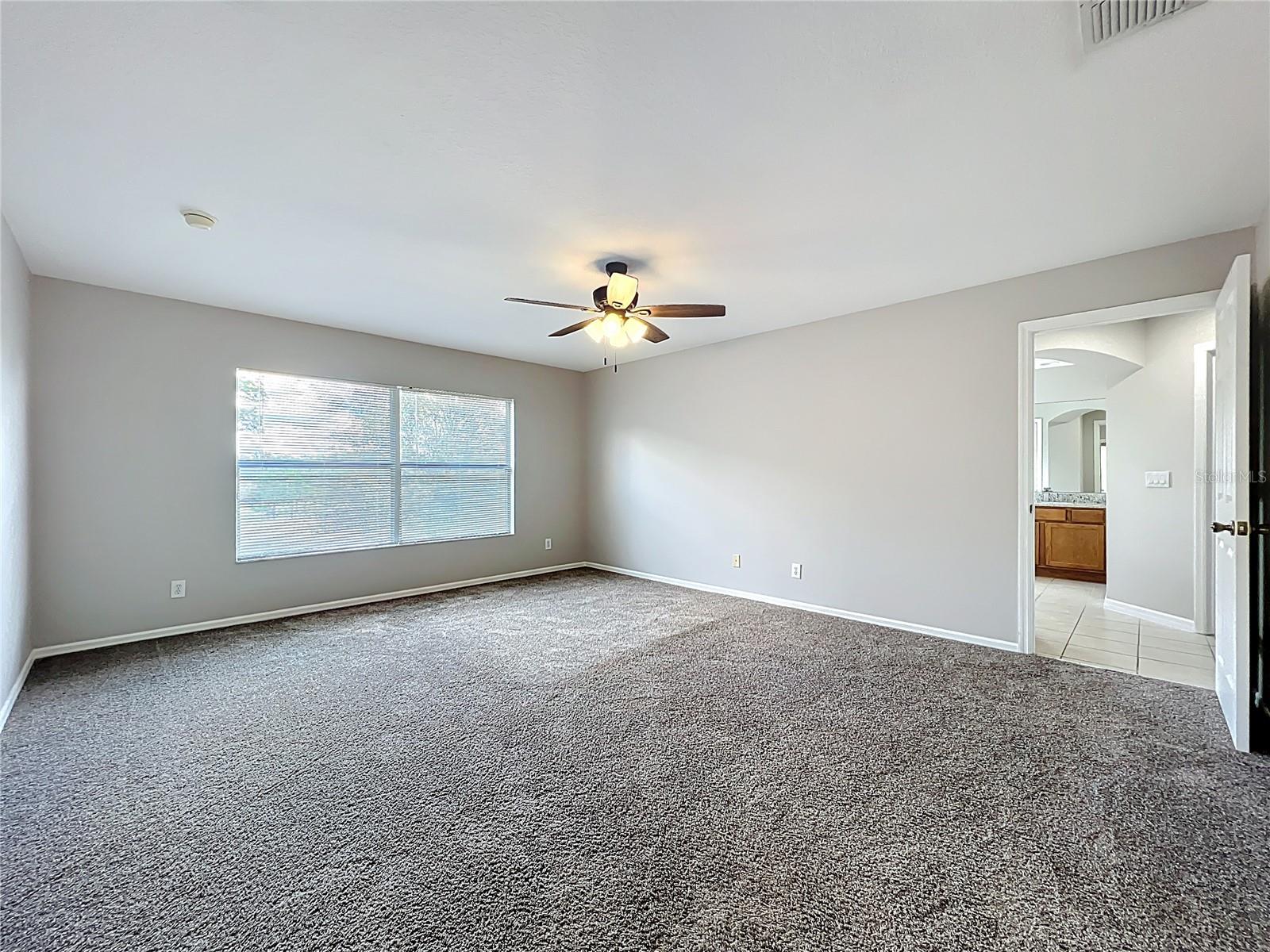 33411 TERRAGONA DR, SORRENTO, FL — photo 88