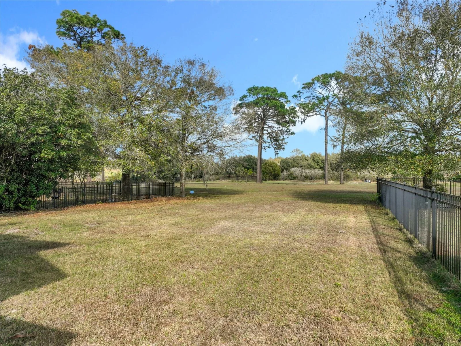 33411 TERRAGONA DR, SORRENTO, FL — photo 120