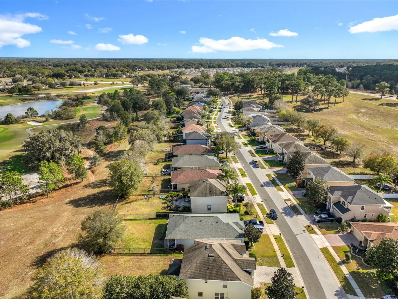 33411 TERRAGONA DR, SORRENTO, FL — photo 126