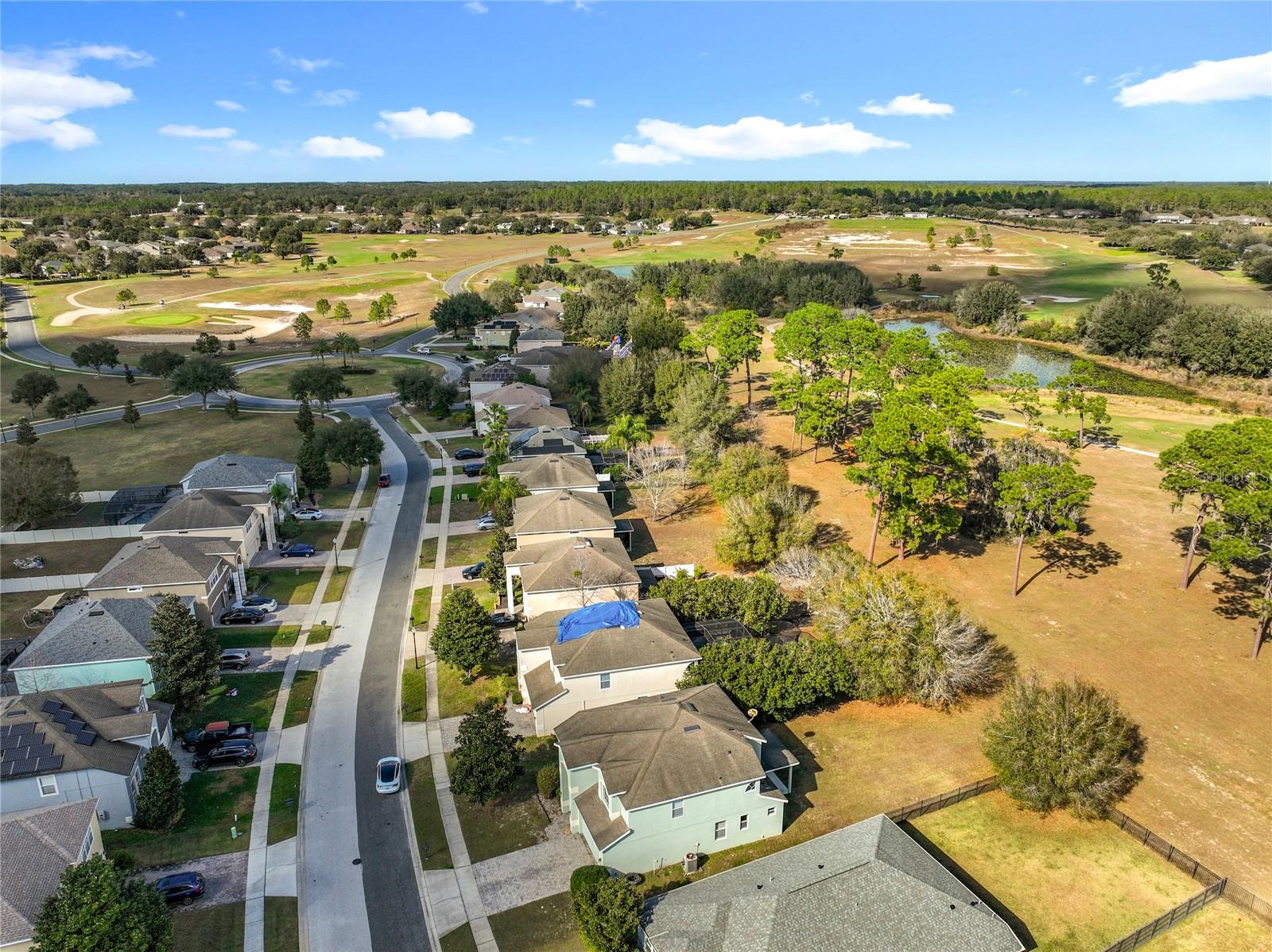 33411 TERRAGONA DR, SORRENTO, FL — photo 129