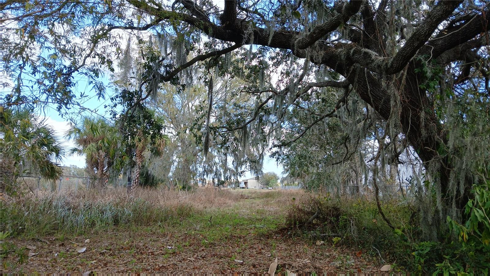 2295 US HIGHWAY 92 E, PLANT CITY, FL — photo 12