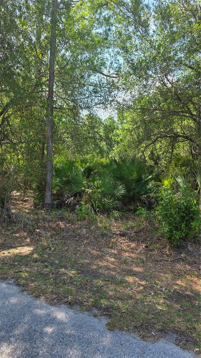 23445 CHIMES AVE, PUNTA GORDA, FL — photo 4