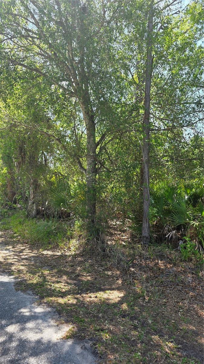 23445 CHIMES AVE, PUNTA GORDA, FL — photo 5