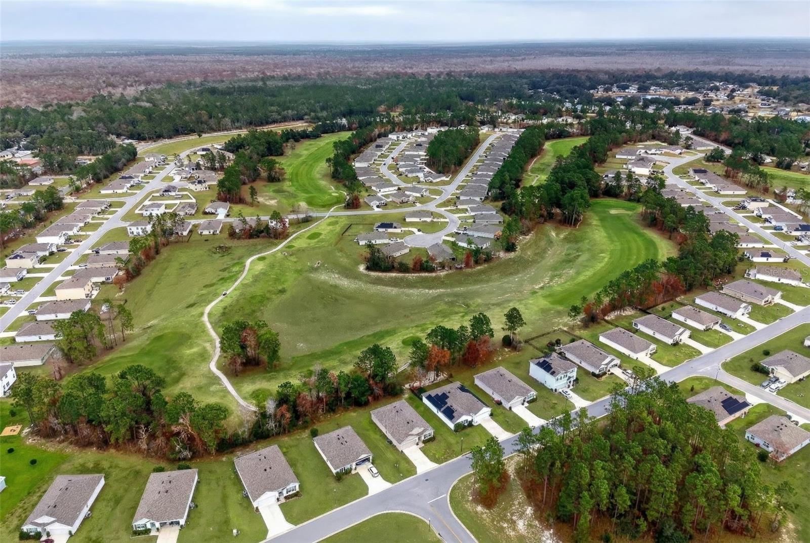 508 HICKORY COURSE LOOP, OCALA, FL — photo 40