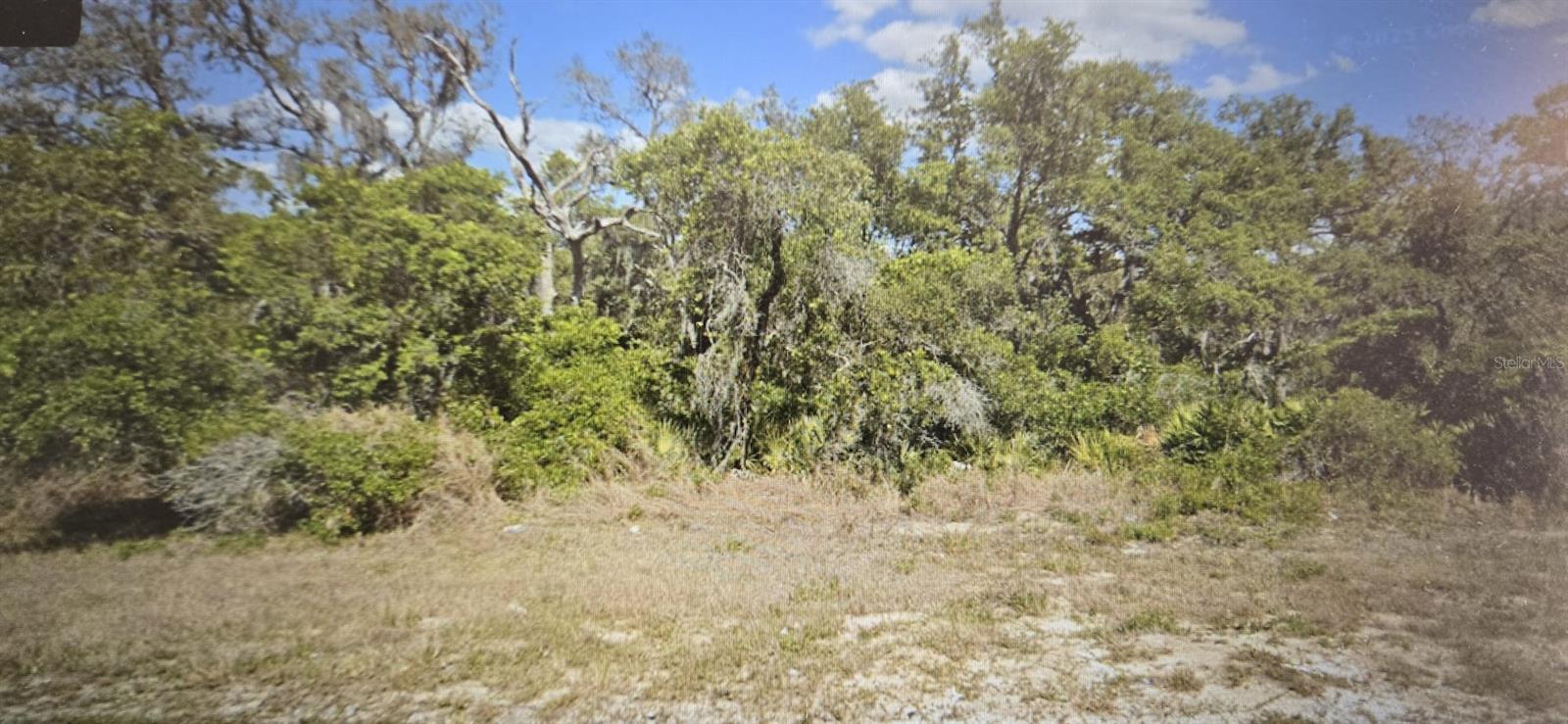 6110 COUNTY ROAD 17 S, SEBRING, FL — photo 2