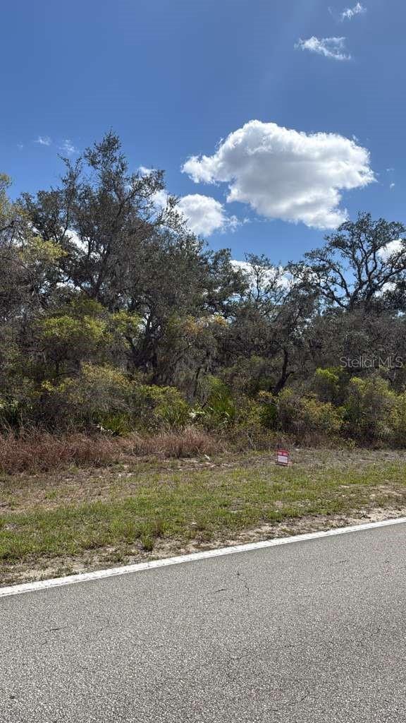 6110 COUNTY ROAD 17 S, SEBRING, FL — photo 3