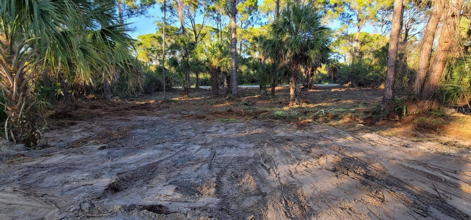 12395 SUNNILAND AVE, PORT CHARLOTTE, FL — photo 5