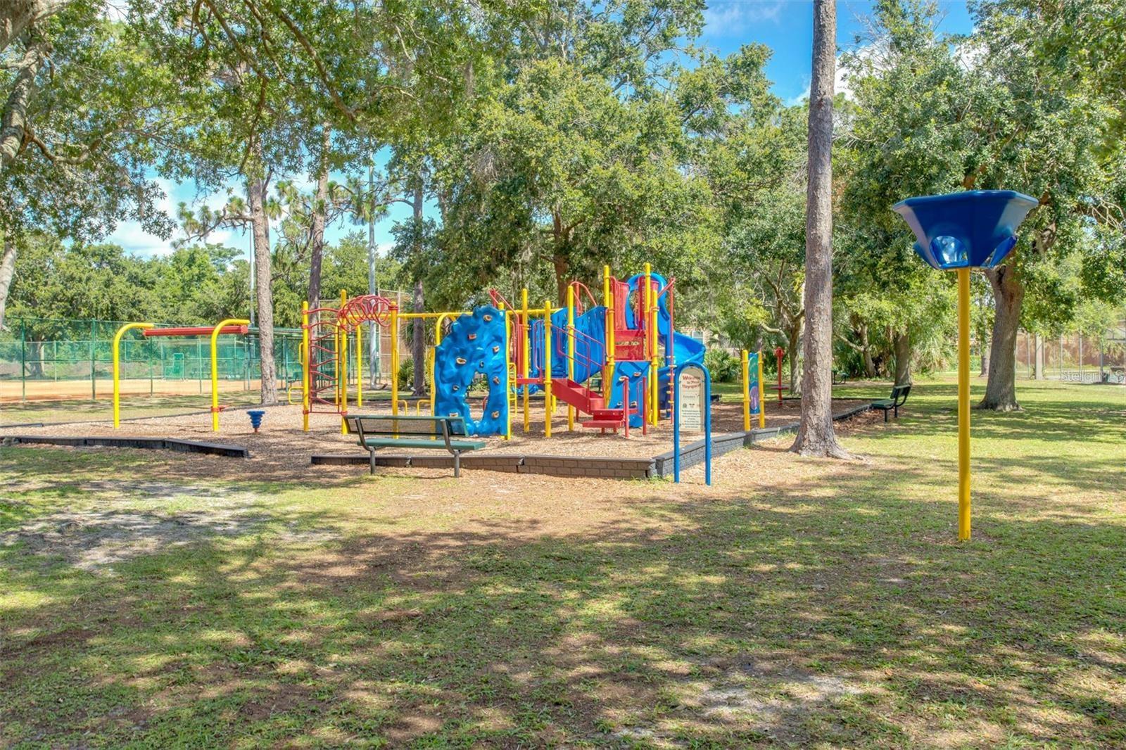 330 ELKHORN CT, WINTER PARK, FL — photo 33