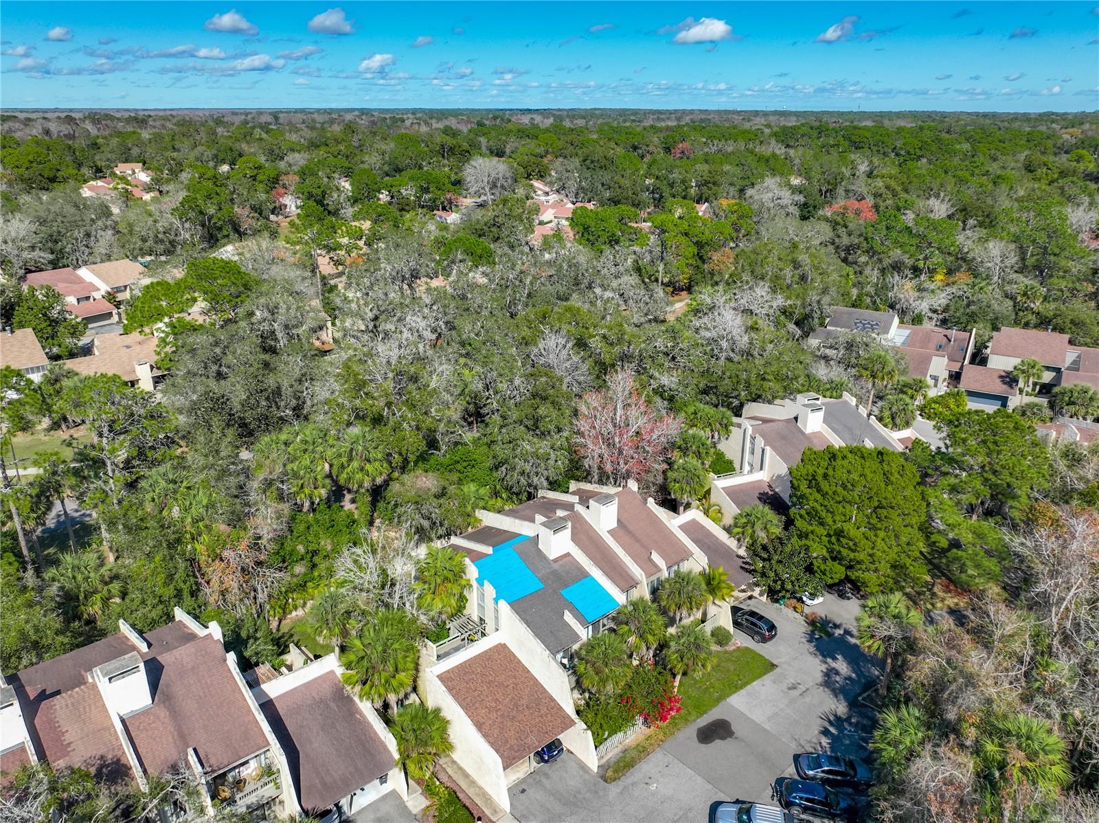 217 TOMOKA TRL #217, LONGWOOD, FL — photo 75