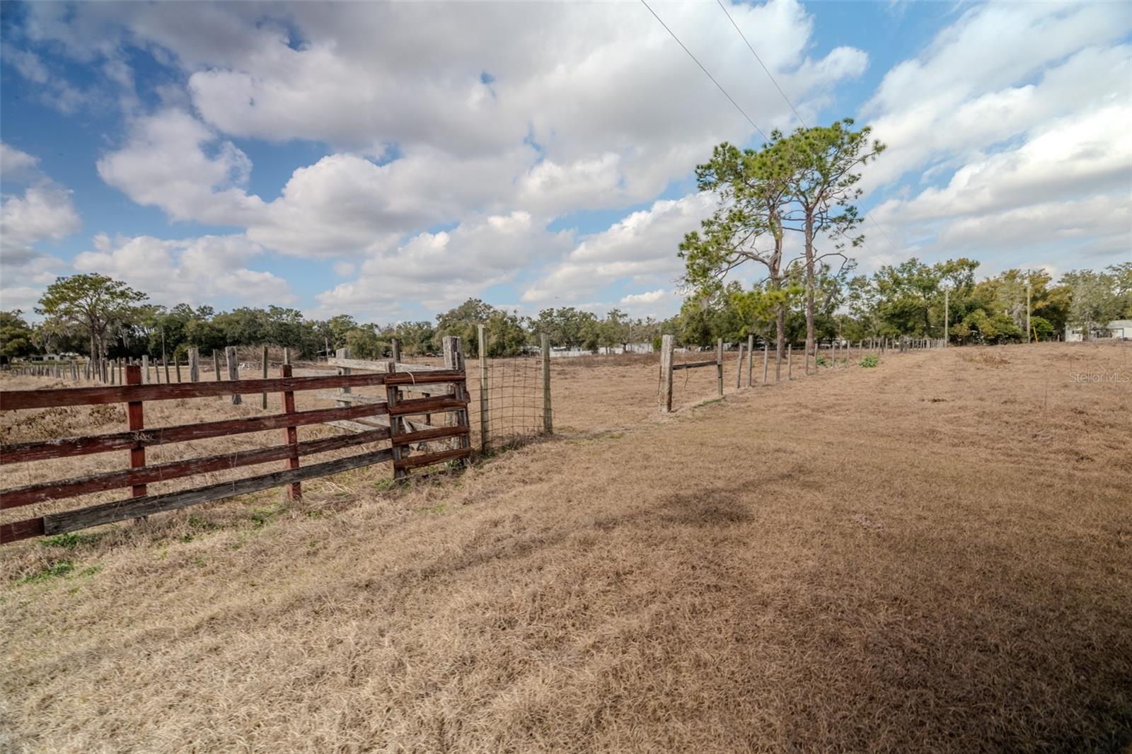 36630 SUNSHINE RD, ZEPHYRHILLS, FL — photo 6