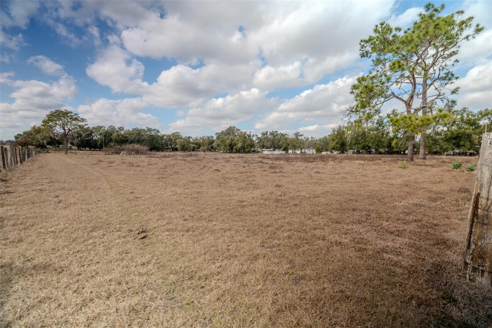 36630 SUNSHINE RD, ZEPHYRHILLS, FL — photo 7