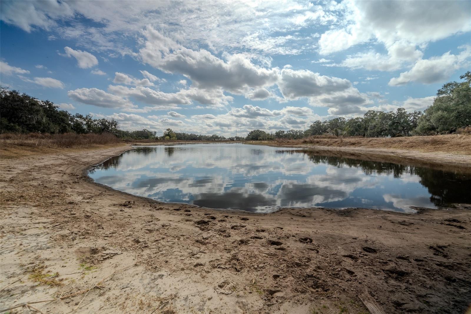 36630 SUNSHINE RD, ZEPHYRHILLS, FL — photo 20