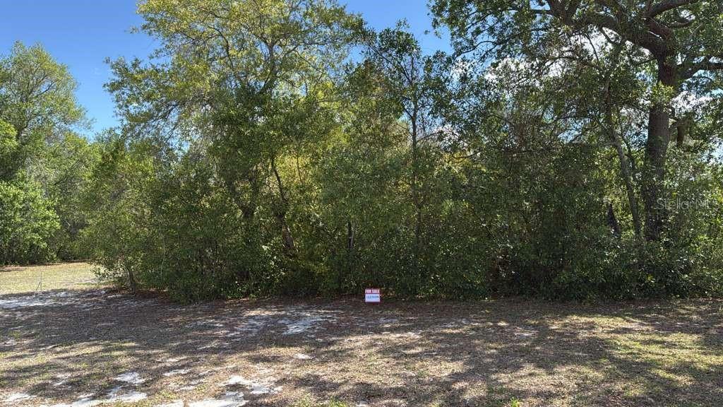 1105 GRAPEFRUIT AVE, SEBRING, FL — photo 2