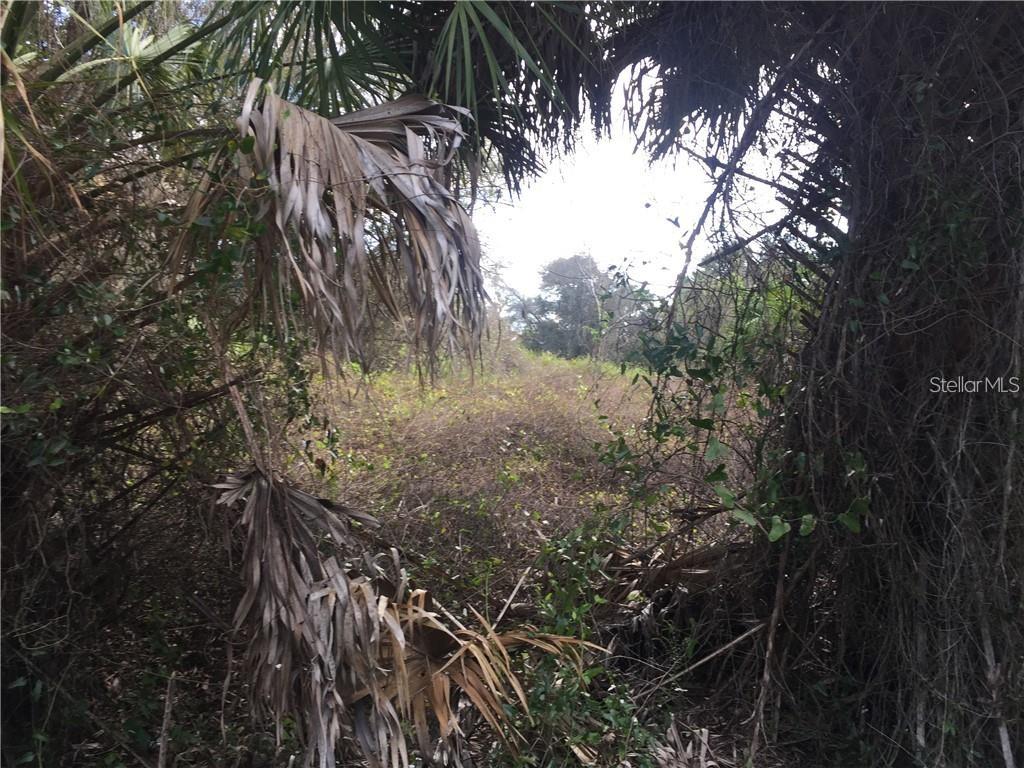 Lot 9 HONEYCOMB CIR, NORTH PORT, FL — photo 3