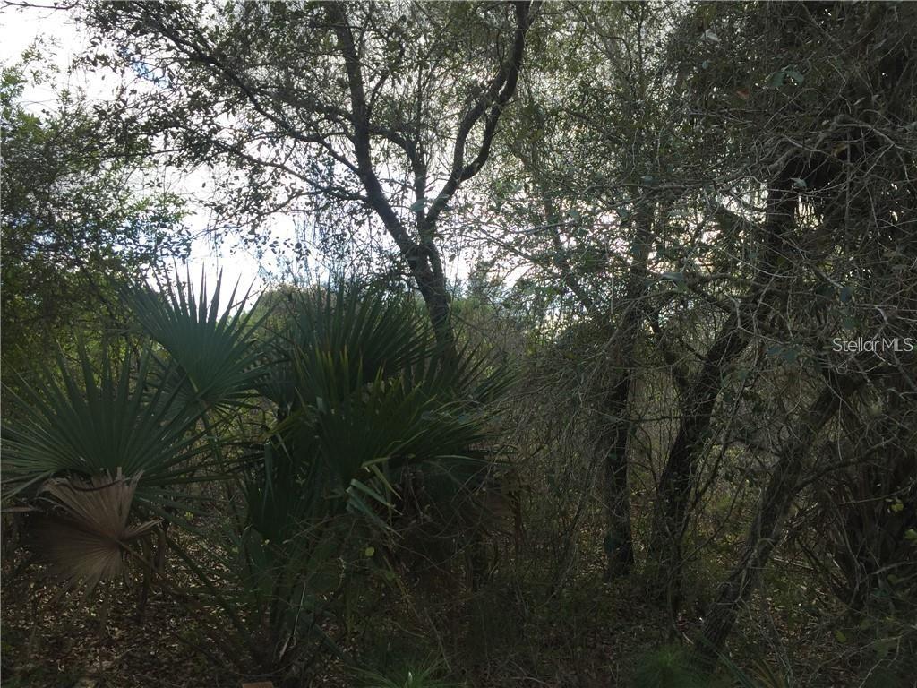 Lot 9 HONEYCOMB CIR, NORTH PORT, FL — photo 5