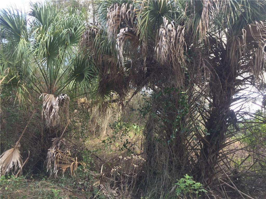 Lot 9 HONEYCOMB CIR, NORTH PORT, FL — photo 9