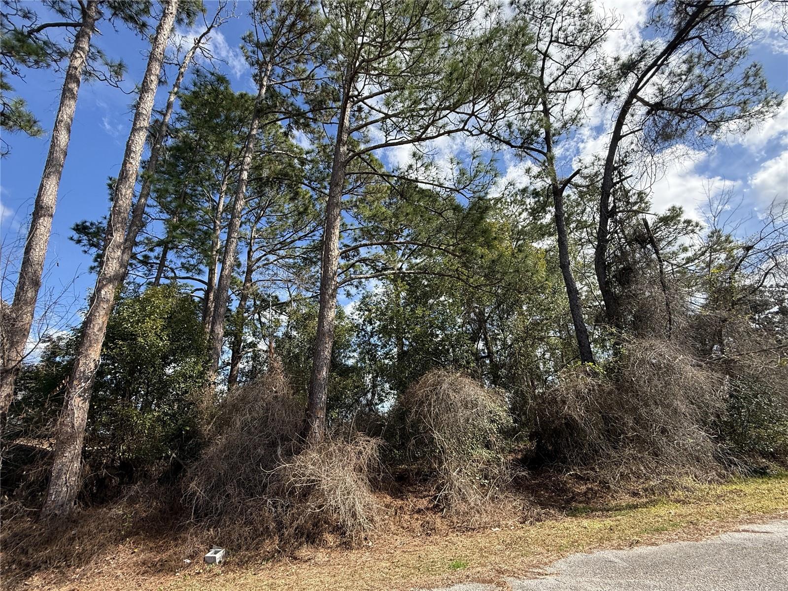 TBD SE 190TH AVENUE, SILVER SPRINGS, FL