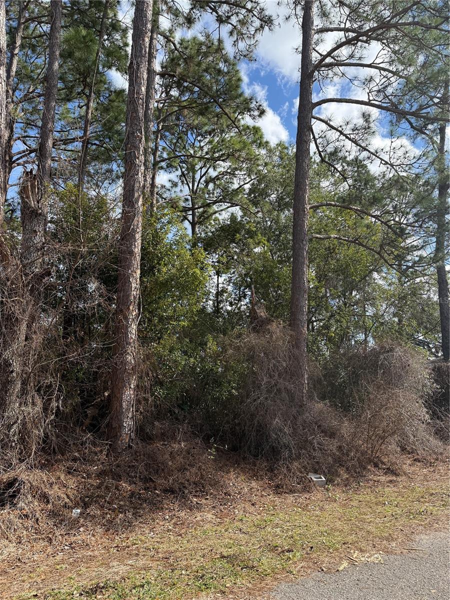 TBD SE 190TH AVENUE, SILVER SPRINGS, FL — photo 2