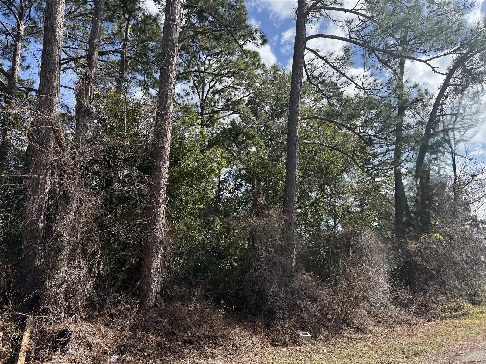 TBD SE 190TH AVENUE, SILVER SPRINGS, FL — photo 3