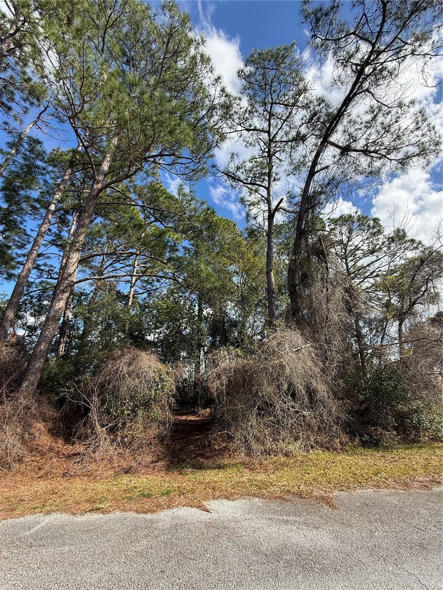 TBD SE 190TH AVENUE, SILVER SPRINGS, FL — photo 4