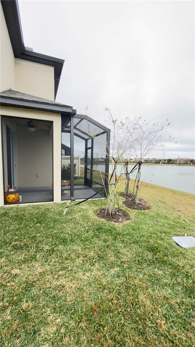 2501 STAPLEFORD PL, WESLEY CHAPEL, FL — photo 15