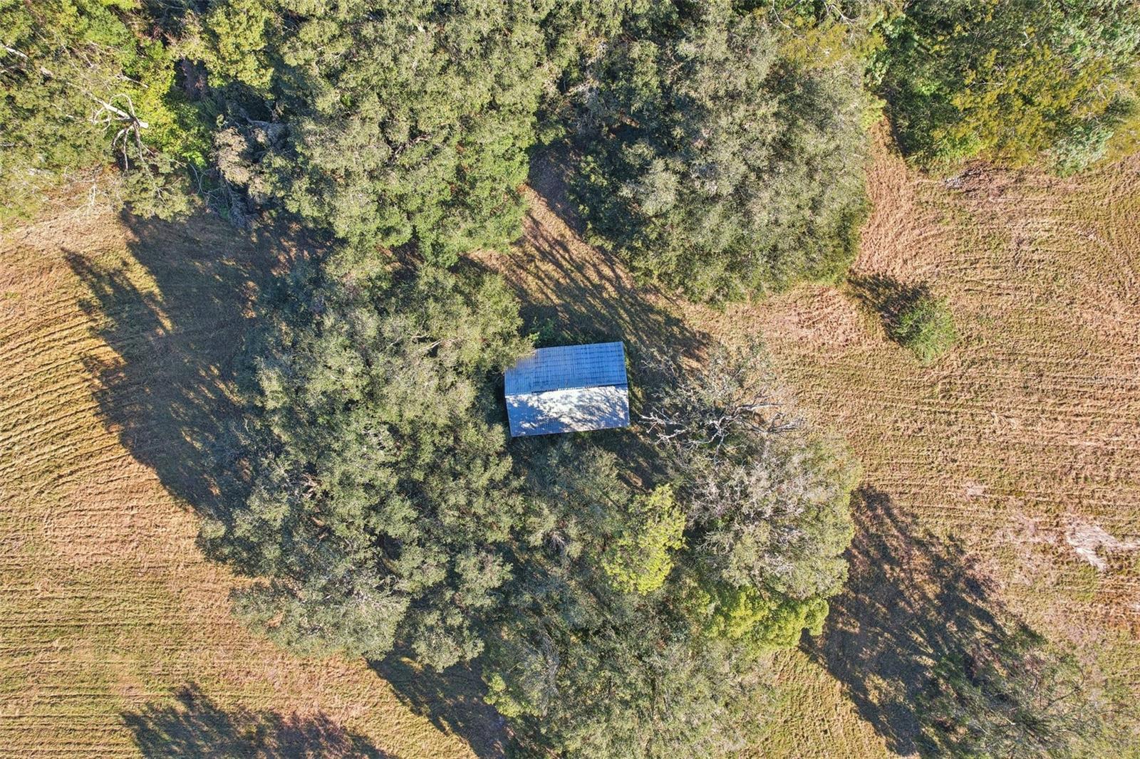 4610 E COUNTY ROAD 542, LAKELAND, FL — photo 4