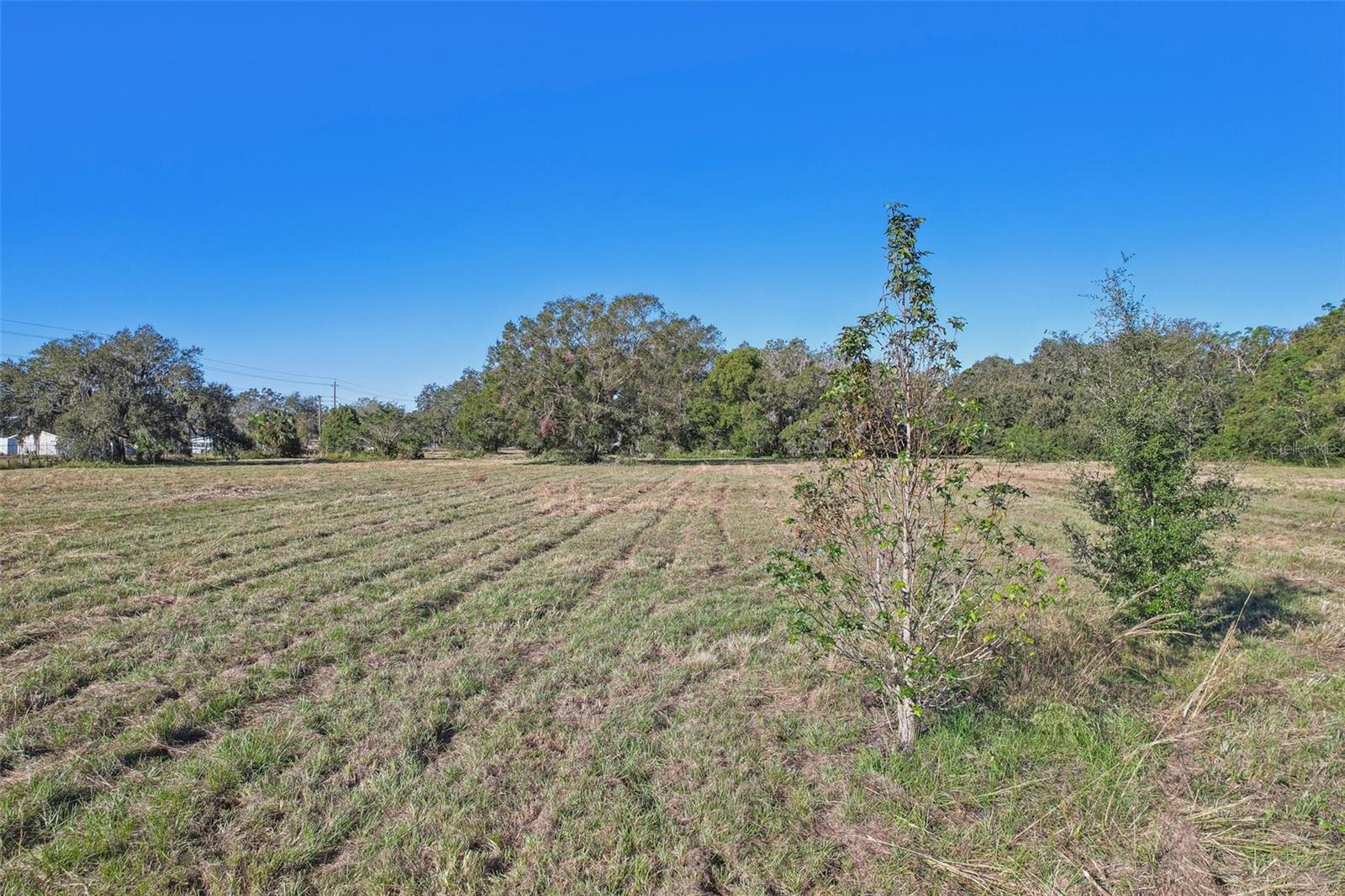 4610 E COUNTY ROAD 542, LAKELAND, FL — photo 8