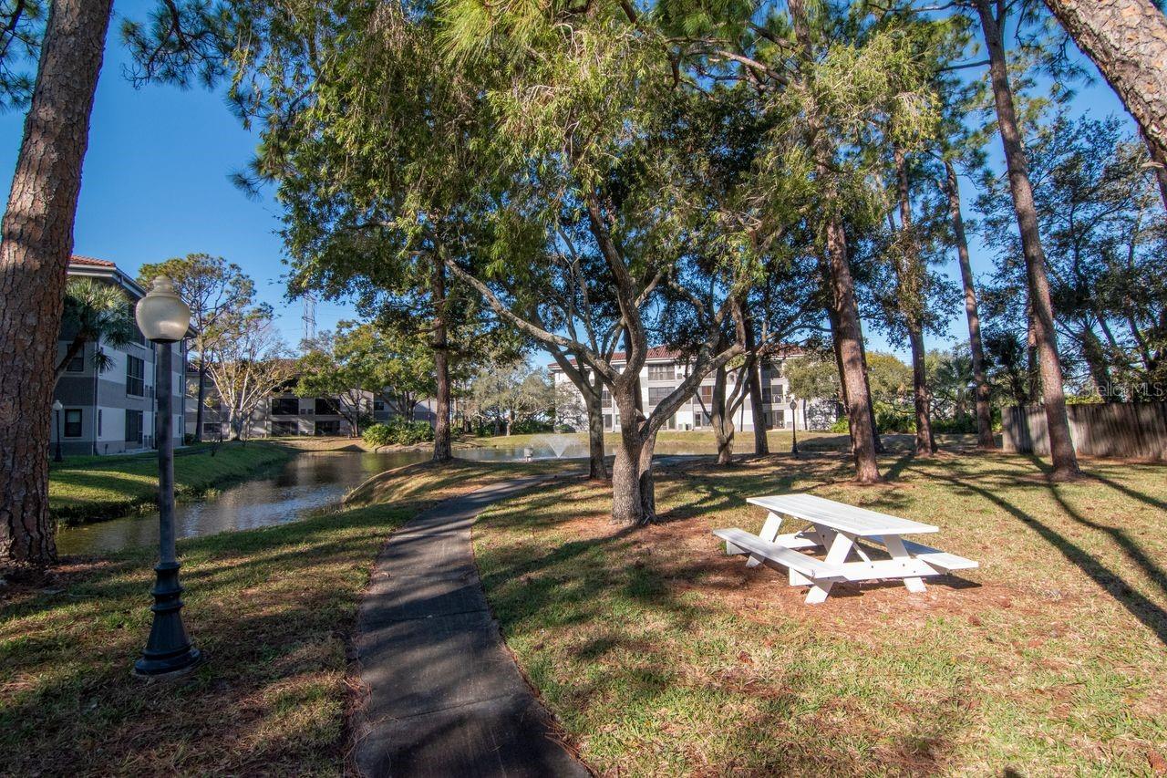 2650 COUNTRYSIDE BLVD #F303, CLEARWATER, FL — photo 7