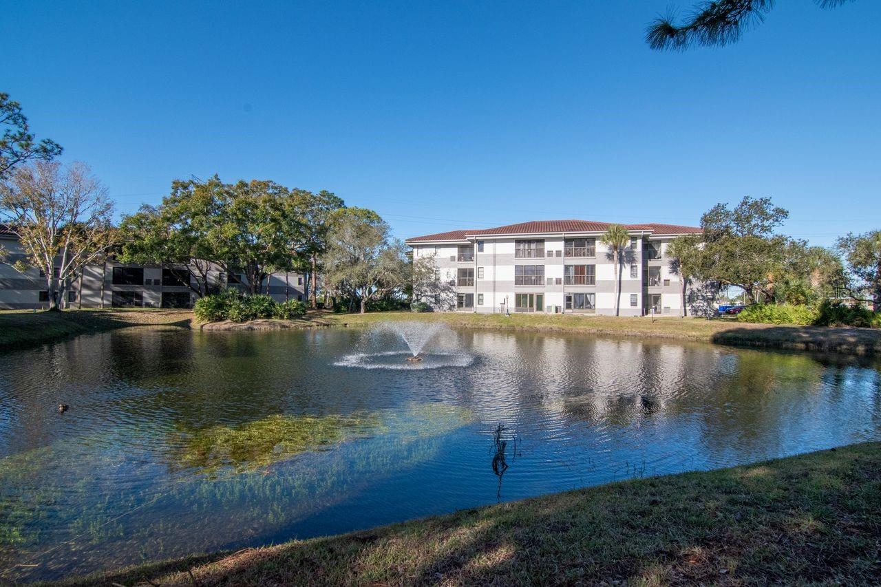 2650 COUNTRYSIDE BLVD #F303, CLEARWATER, FL — photo 9