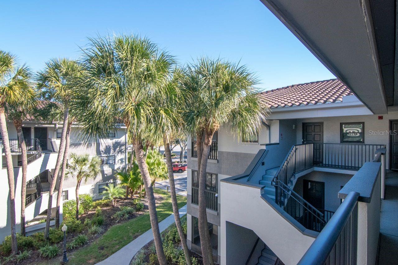 2650 COUNTRYSIDE BLVD #F303, CLEARWATER, FL — photo 13
