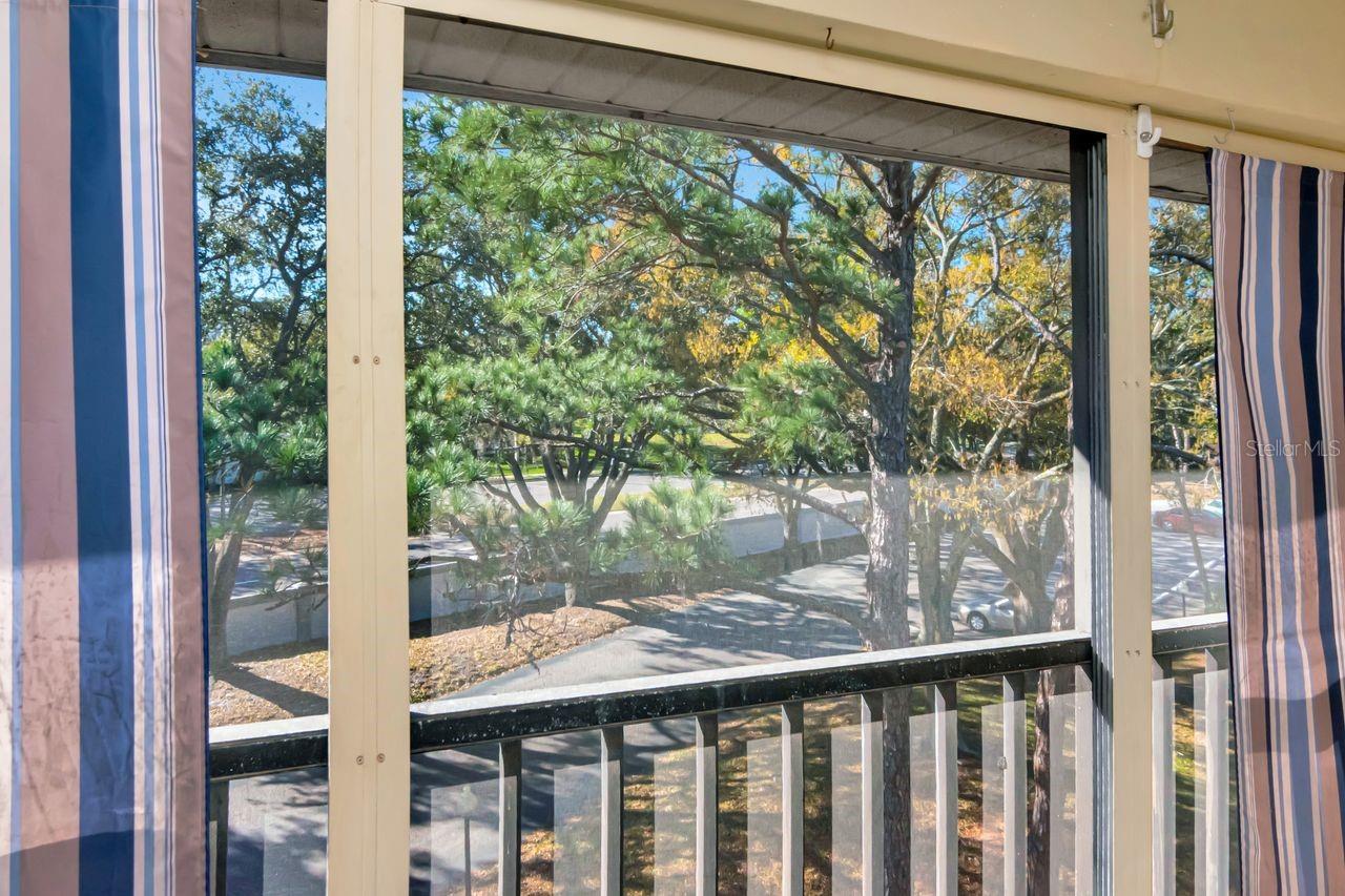 2650 COUNTRYSIDE BLVD #F303, CLEARWATER, FL — photo 41